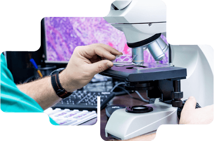 Histopathology