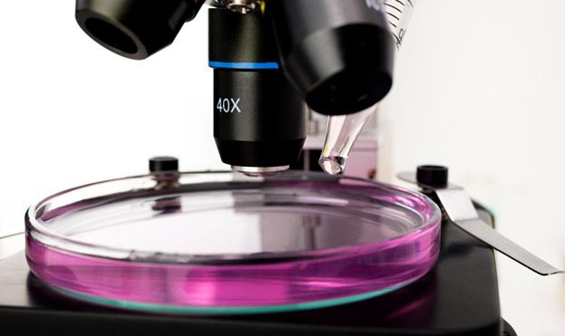Histopathology Equipment
